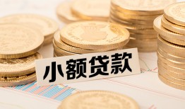 成都新都区哪里有小额贷款-成都新都区身份证贷款平台-成都新都区民间短借